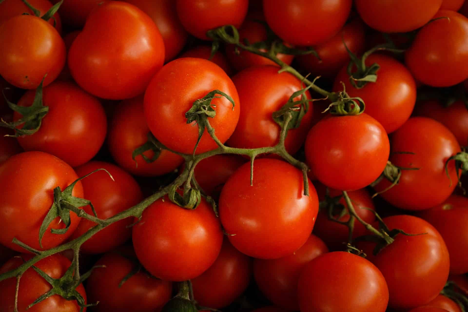 Agriculture