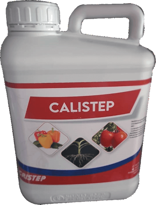 CALISTEP