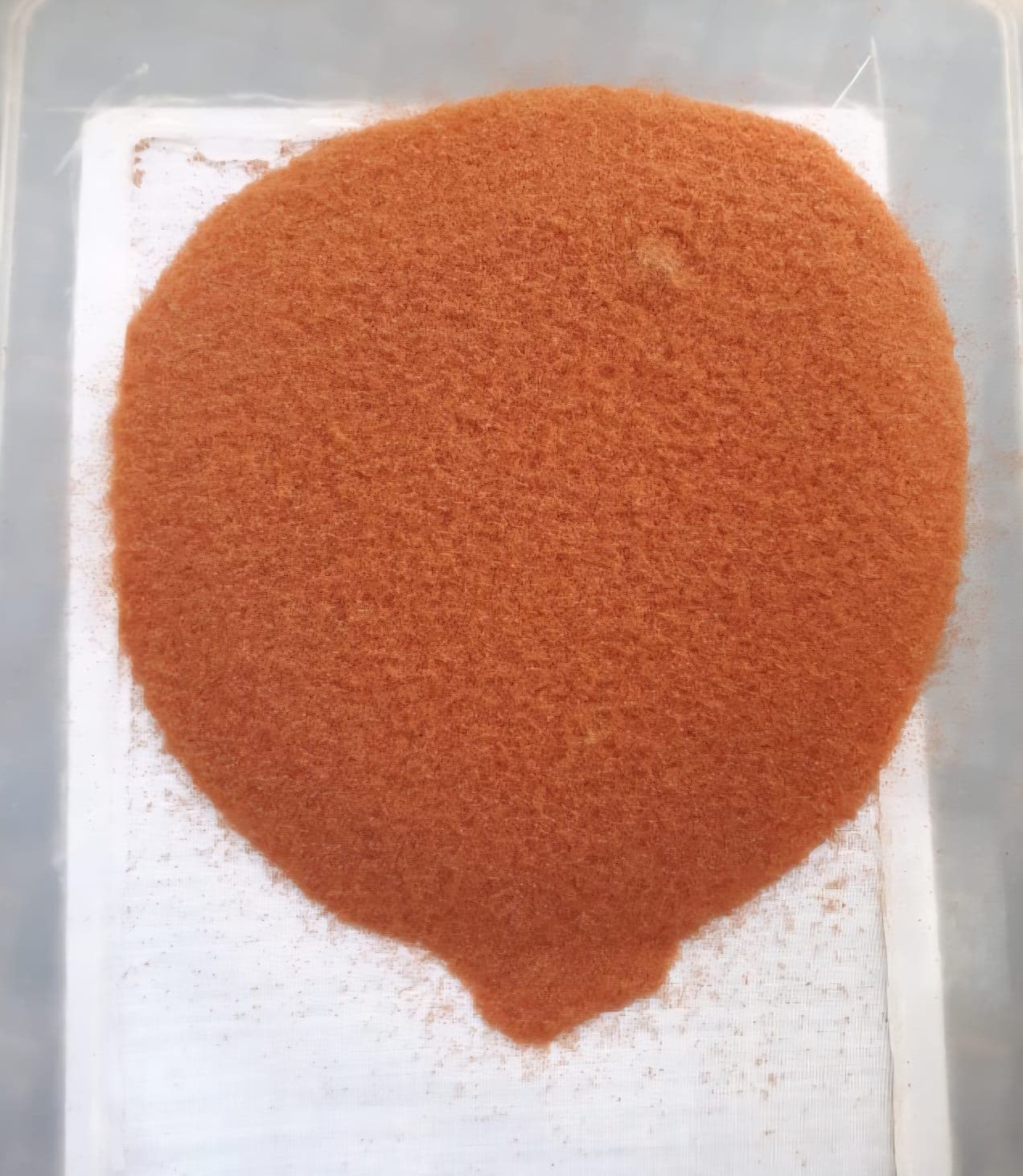 PHYTOSTEP
