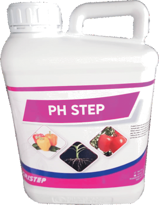 PH STEP