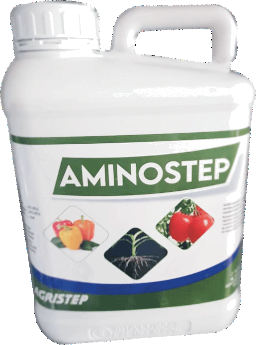 AMINOSTEP