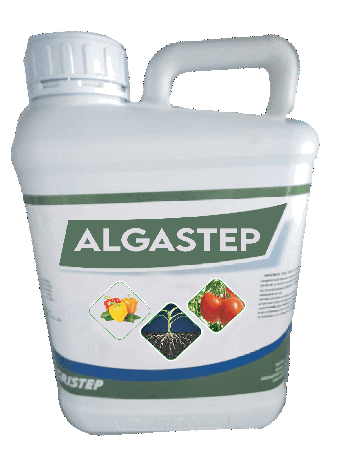 ALGASTEP