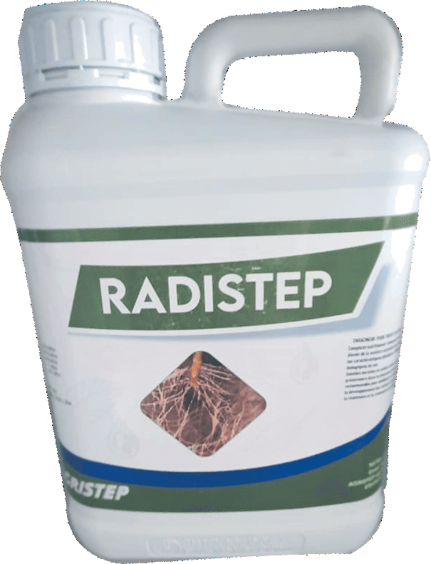 RADISTEP